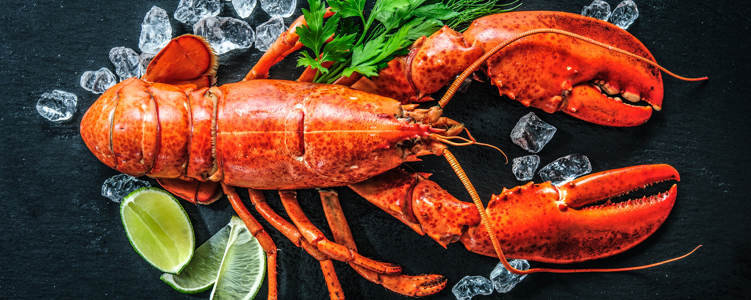 Top view of whole red lobster with ice and lime